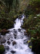 10.28.05 Devil's Rest 036 